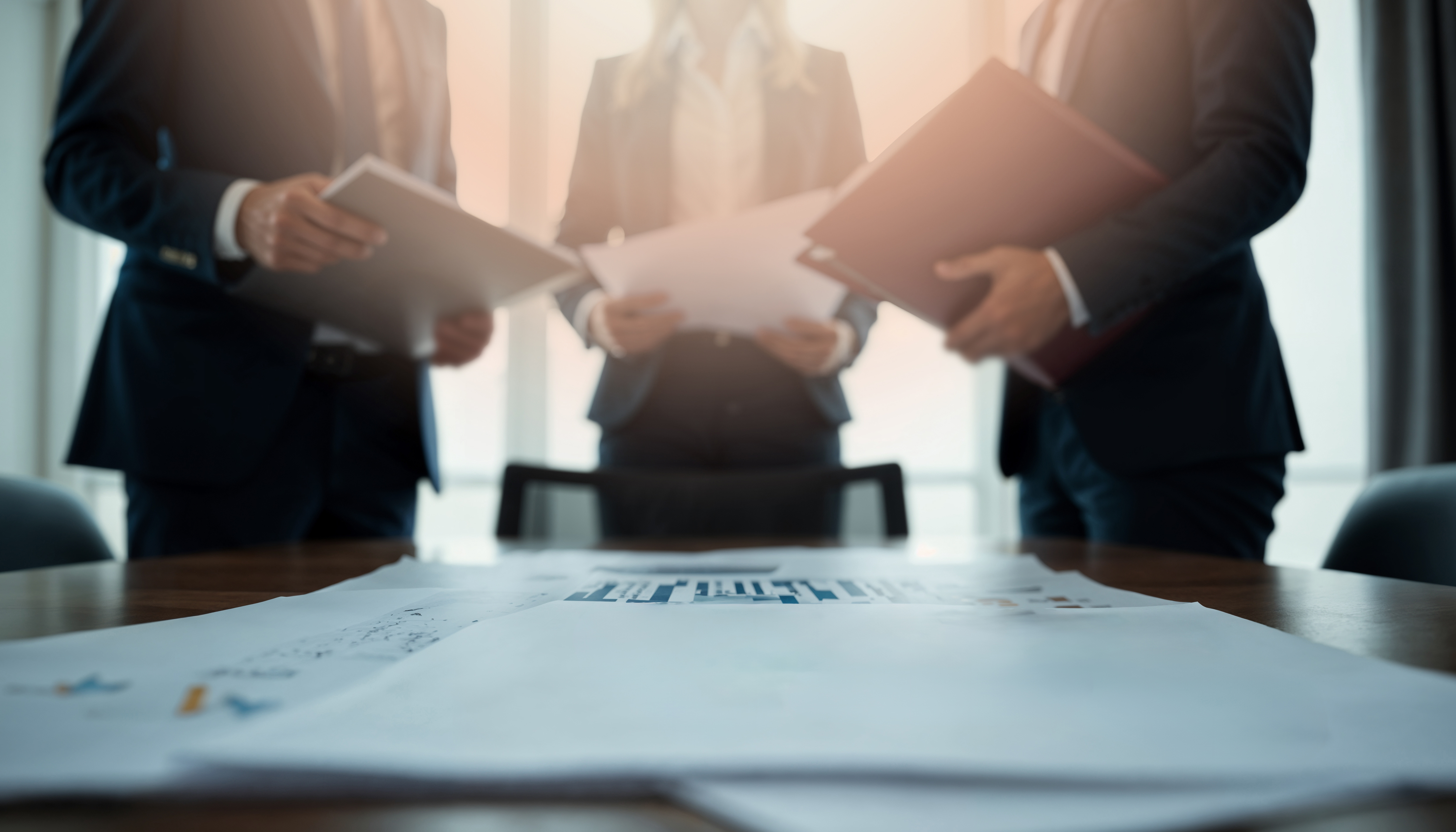 Project Consultation